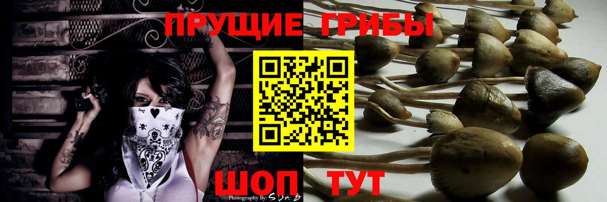 Галлюциногенные грибы ЛСД  Псилоцибиновые грибы ЛСД  Когалым  Вход с VPN 